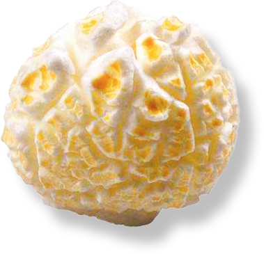 popcorn