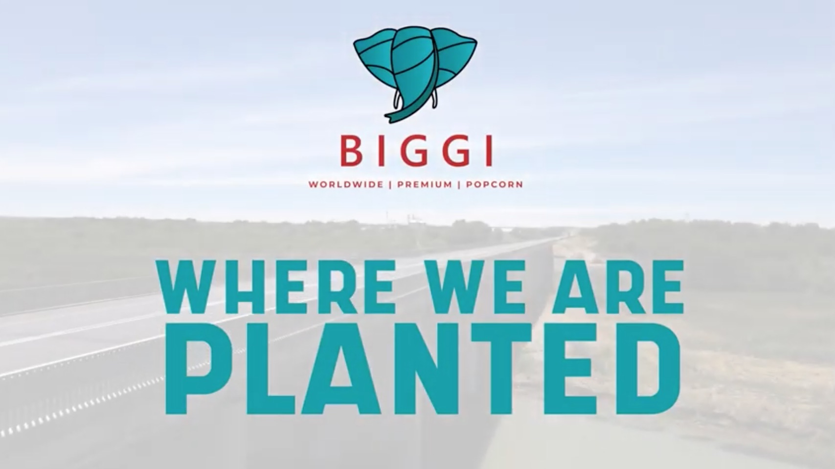 Biggi Community